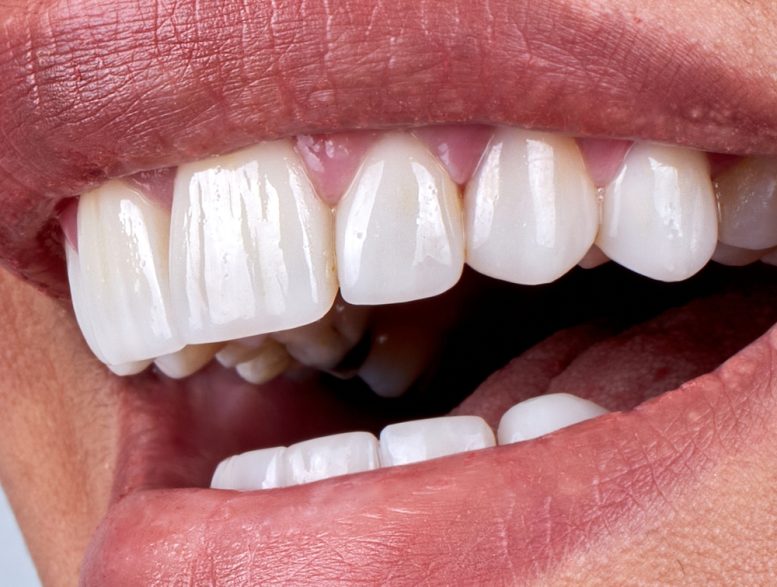 shutterstock_2486883469